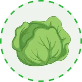 Bringing nature's bounty to your plate - 柠檬直播