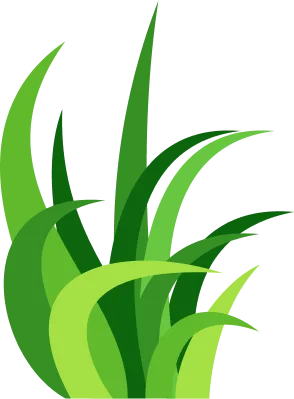 How often should I water my Farming? - 柠檬直播