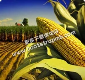 多終端支援，隨時隨地觀賽 - 柠檬直播